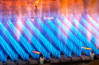 Forsinard gas fired boilers